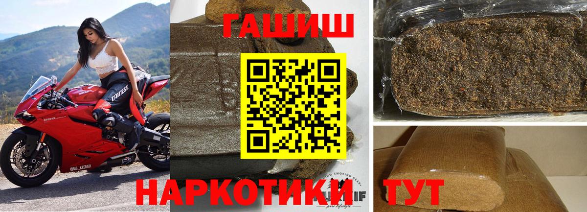 ГАШ Premium Балтийск