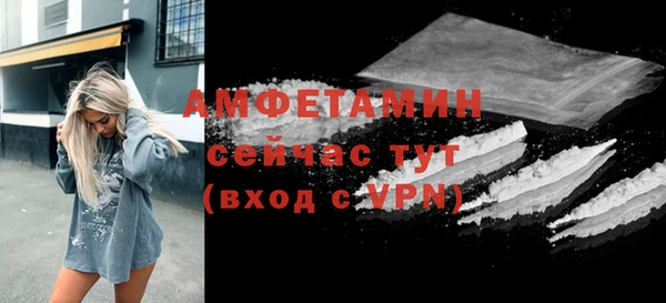 шишки Балабаново