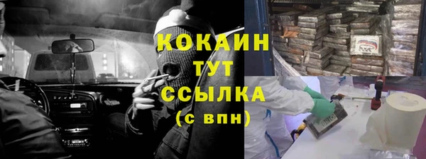 шишки Балабаново