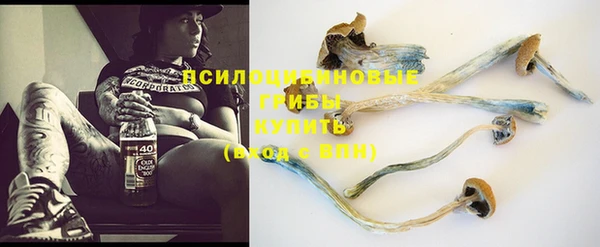 шишки Балабаново