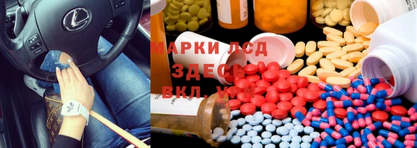 шишки Балабаново