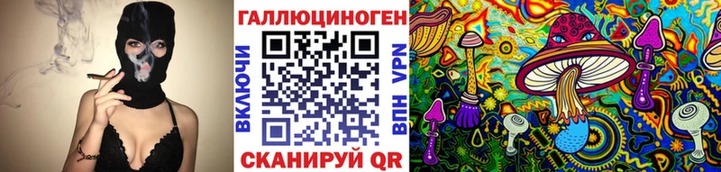 Галлюциногенные грибы Psilocybine cubensis  Балтийск 