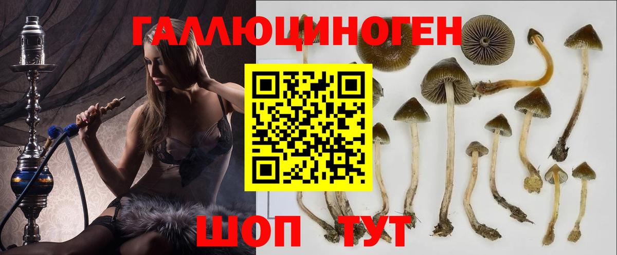 Балтийск  Галлюциногенные грибы Magic Shrooms  Вход с VPN 